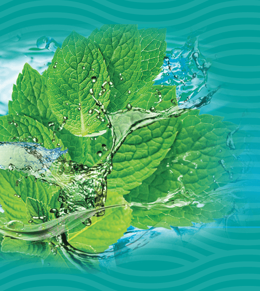 Strong menthol